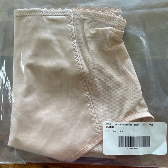 Ruby Ribbon Sheer Briefs - Picture 5 of 5